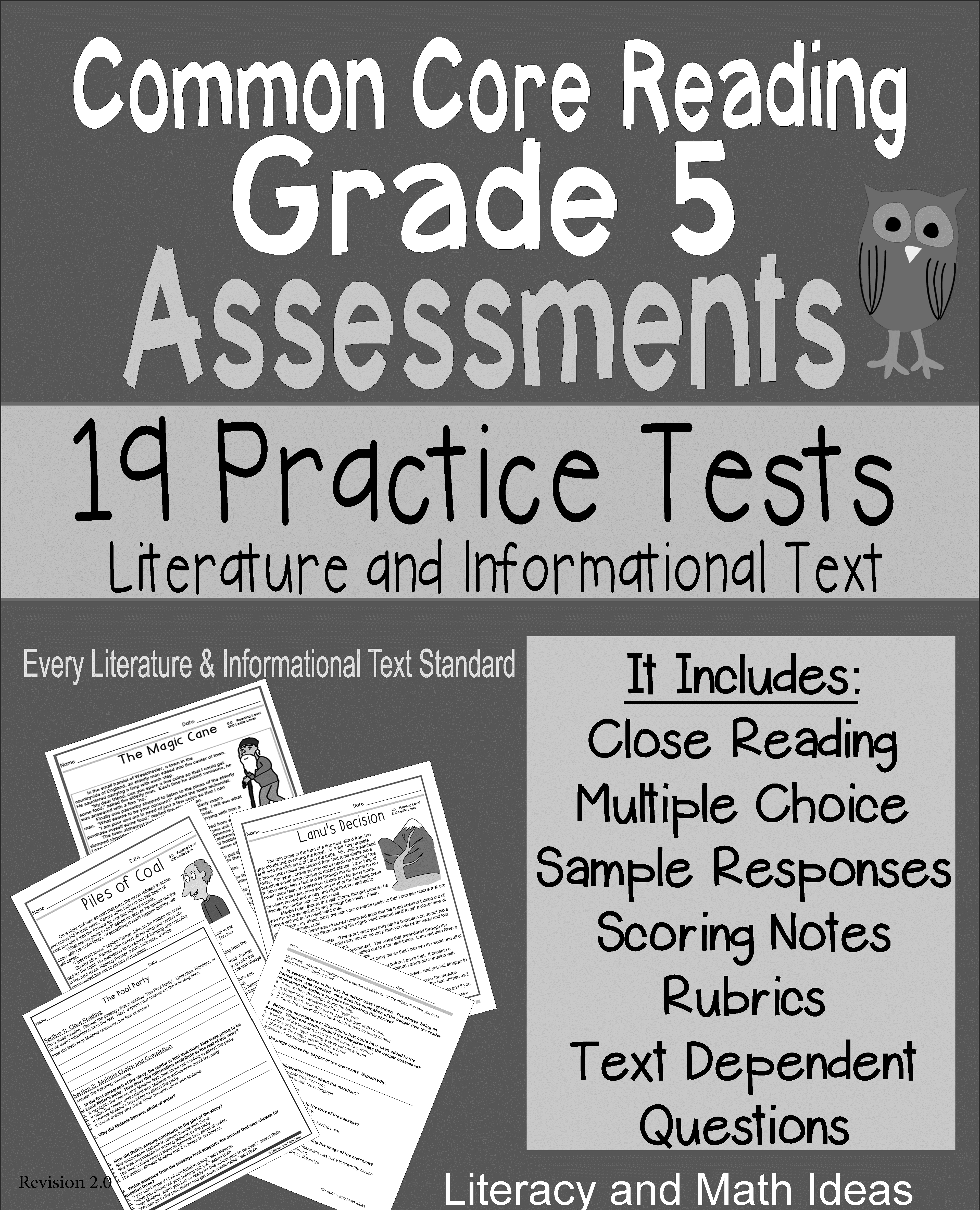 07ccd6ca8393fa880fe0446a8bd2c0aa grade 5 common core reading assessments (19 assessments
