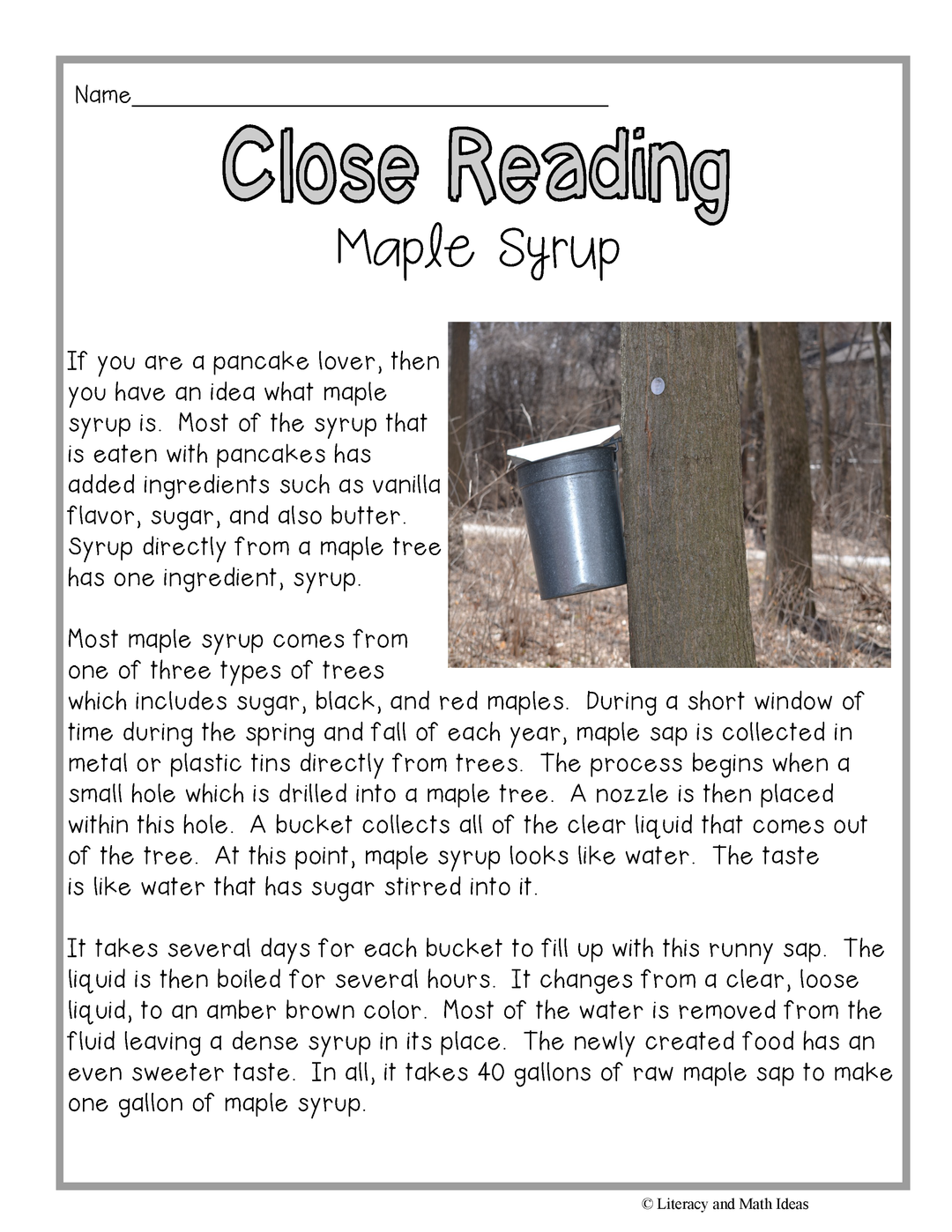 Autumn Close Reading Passages