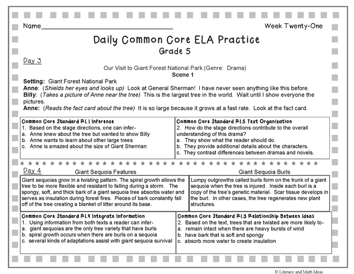Grade 5 Daily Common Core Reading Practice Weeks 21-25