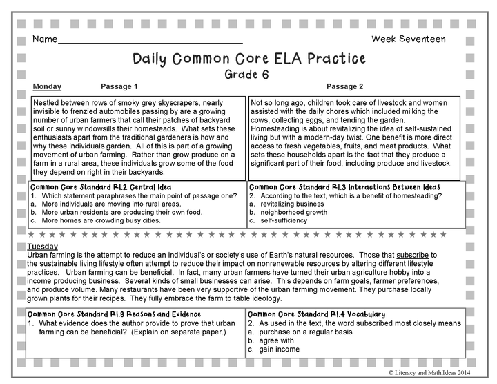 Grade 6 Daily Common Core Reading Practice Weeks 16-20