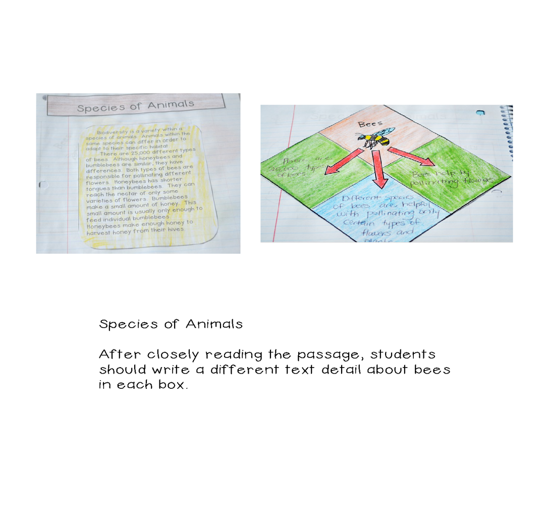 Life Science Interactive Notebook