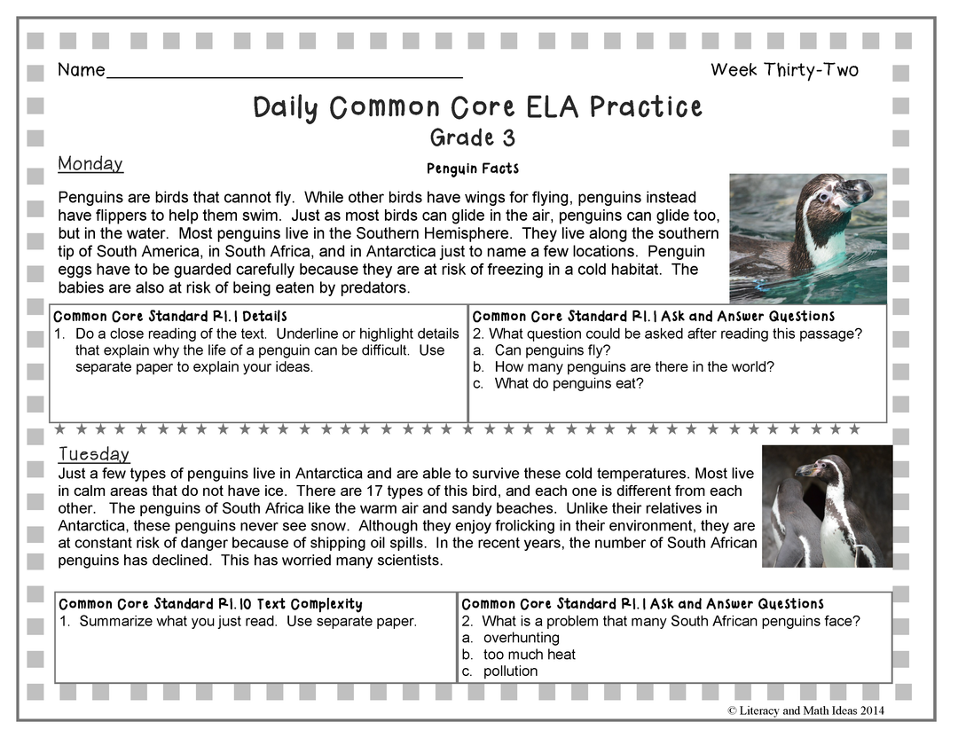 Grade 3 Daily Common Core Reading Practice Weeks 31-35