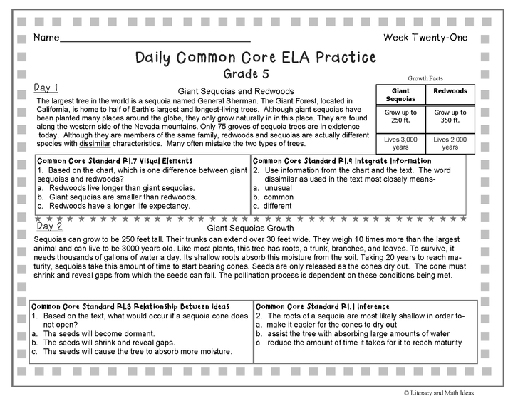 Grade 5 Daily Common Core Reading Practice Weeks 21-40