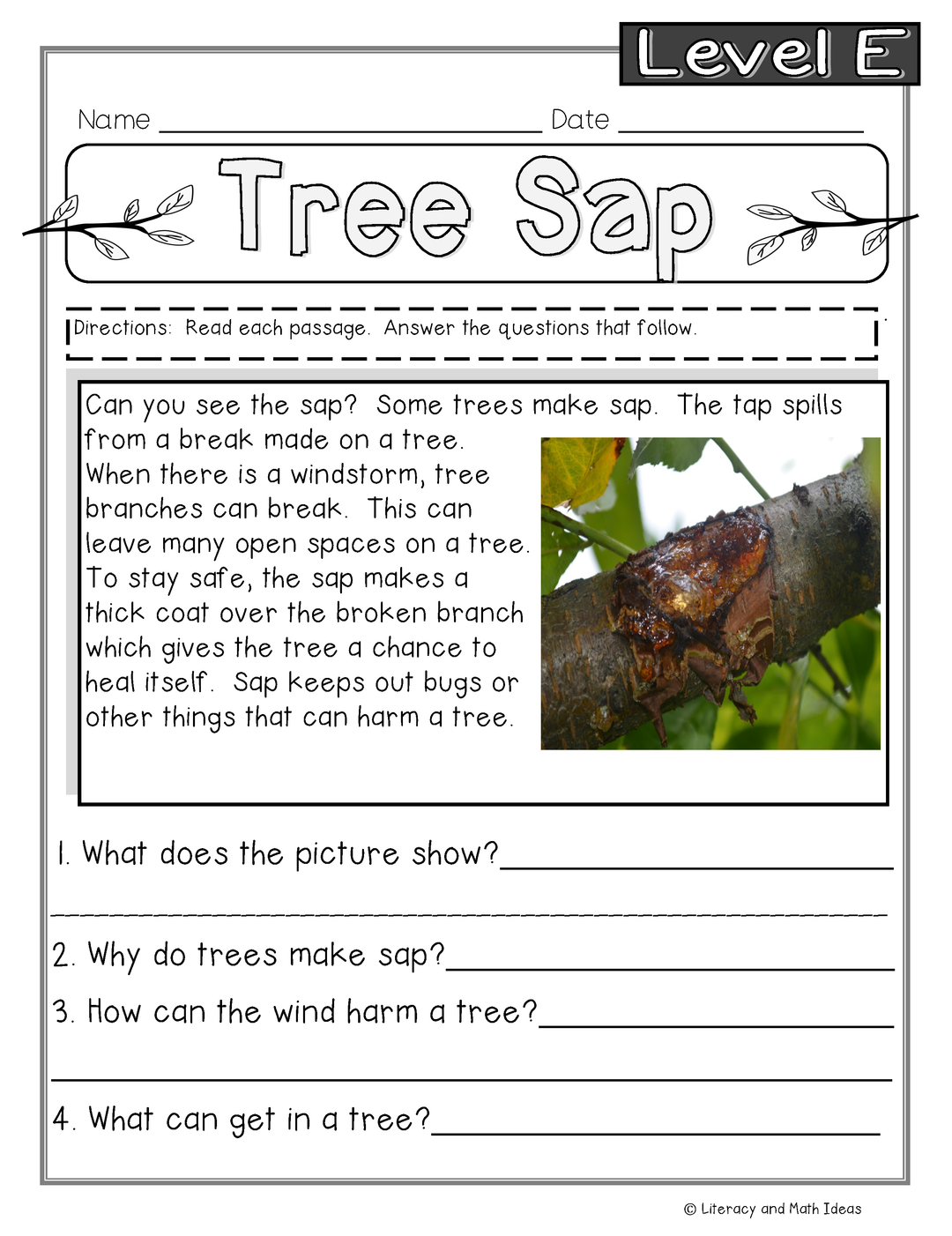 Guided Reading Nonfiction Passages Level E