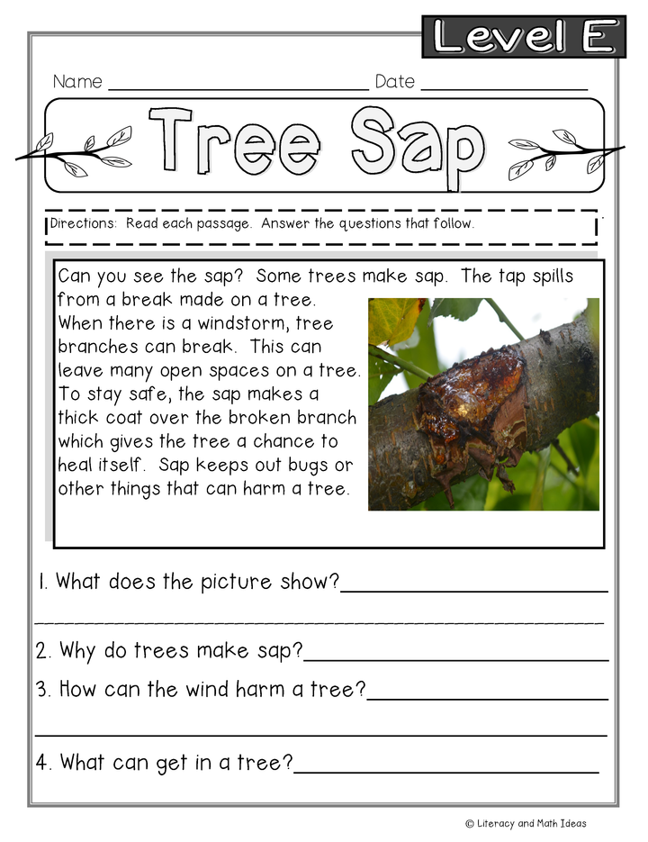 Guided Reading Nonfiction Passages Level E