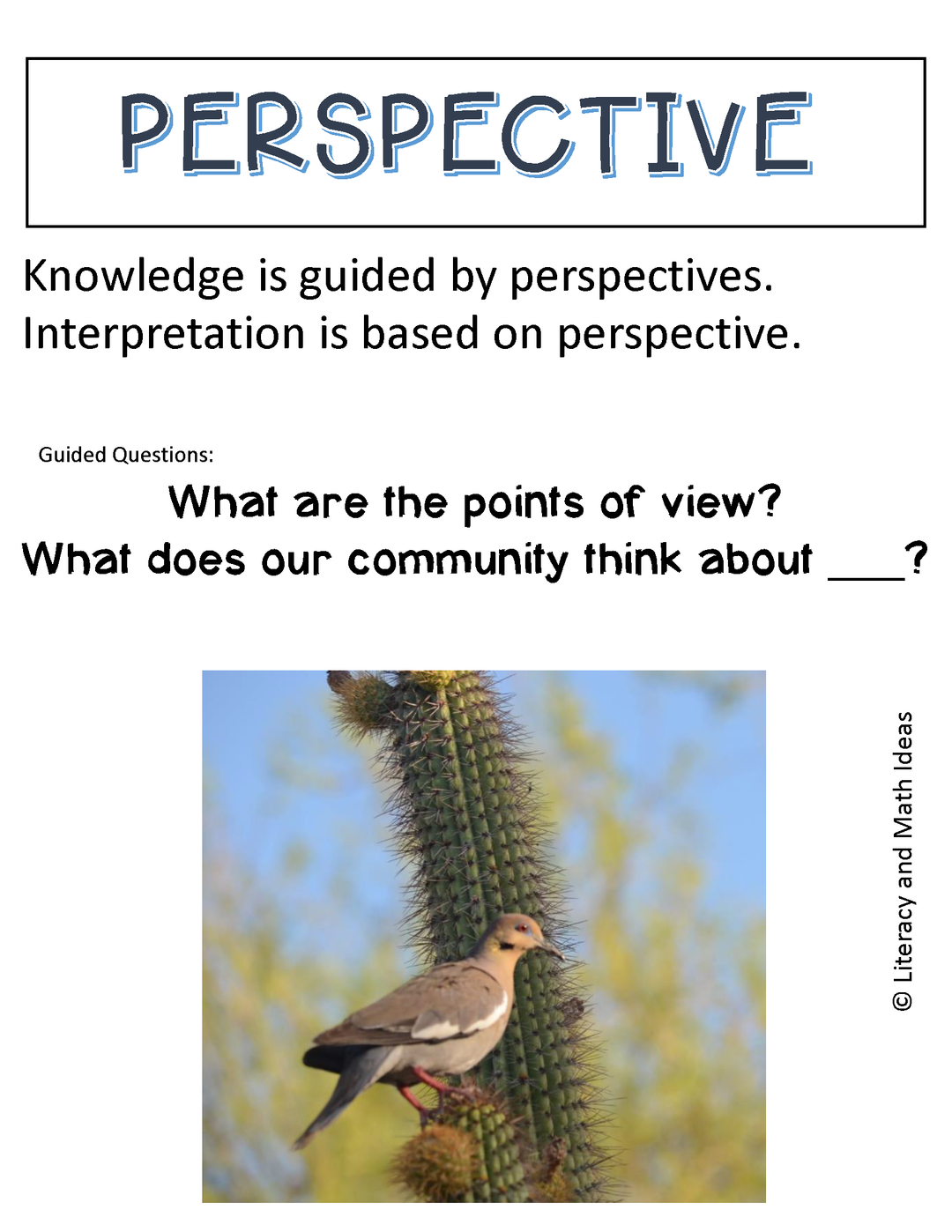 IB Program-Key Concepts Posters