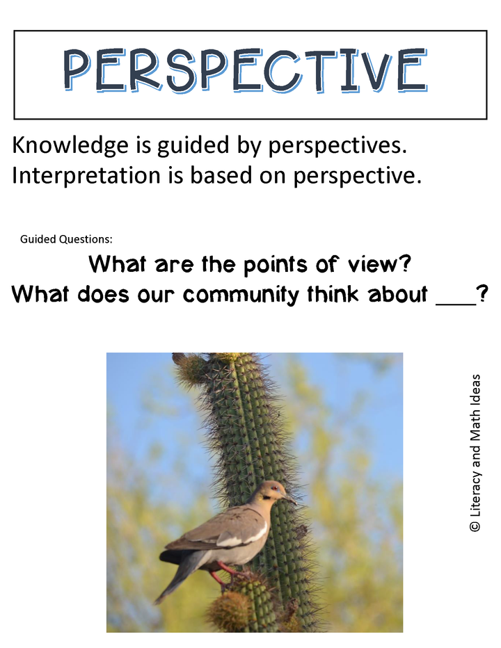 IB Program-Key Concepts Posters