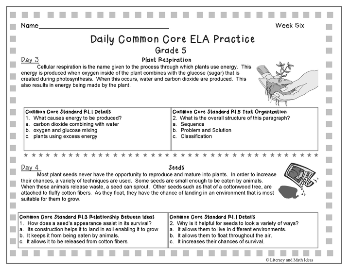 Grade 5 Daily Common Core Reading Practice Weeks 6-10