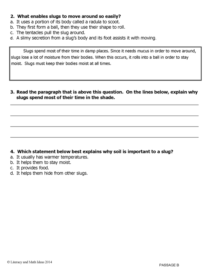 Topical Common Core Practice: Grade 4 Bundle 1
