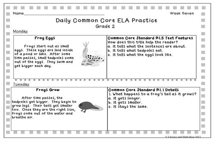 Grade 2 Daily Common Core Reading Practice Weeks 6-8