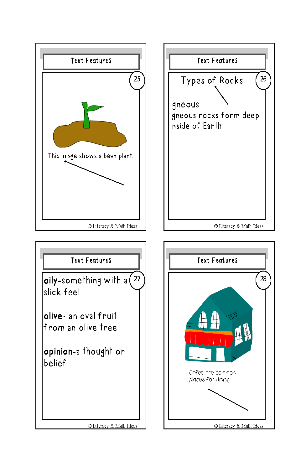 Text Feature Playing Cards