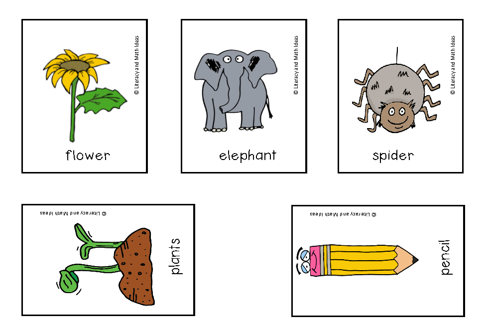Modified Grammar (Visual Nouns and Verbs) Great for Autistic and Special Ed.