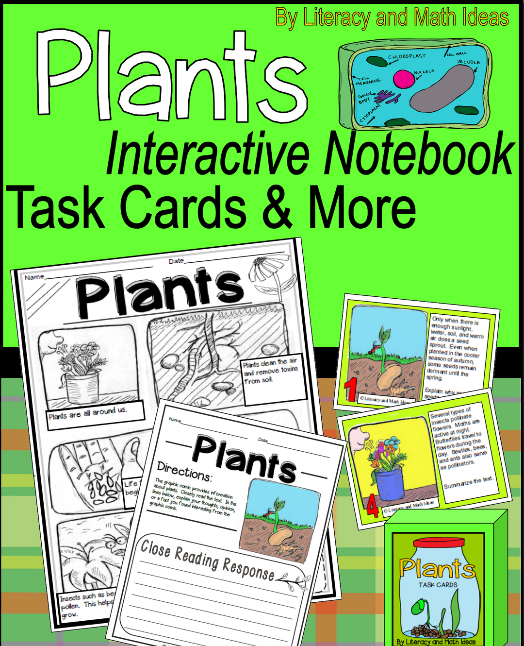 Plants Interactive Notebook