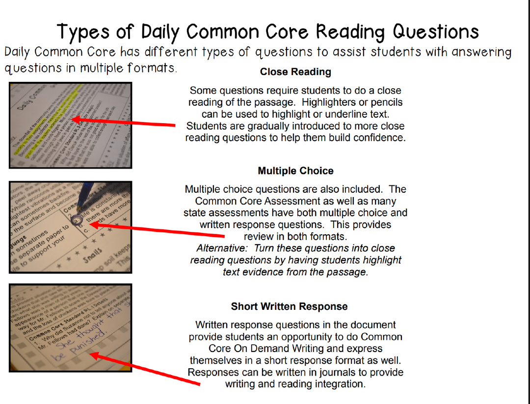 A Full School Year (Daily Common Core Reading) Grade 3