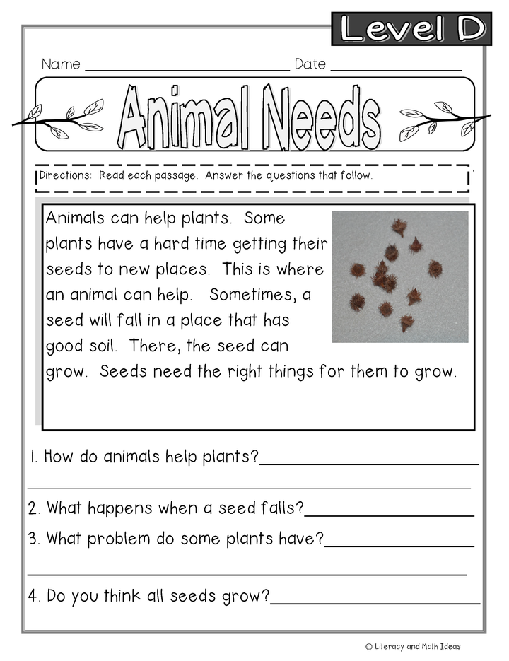 Guided Reading Nonfiction Passages Level D