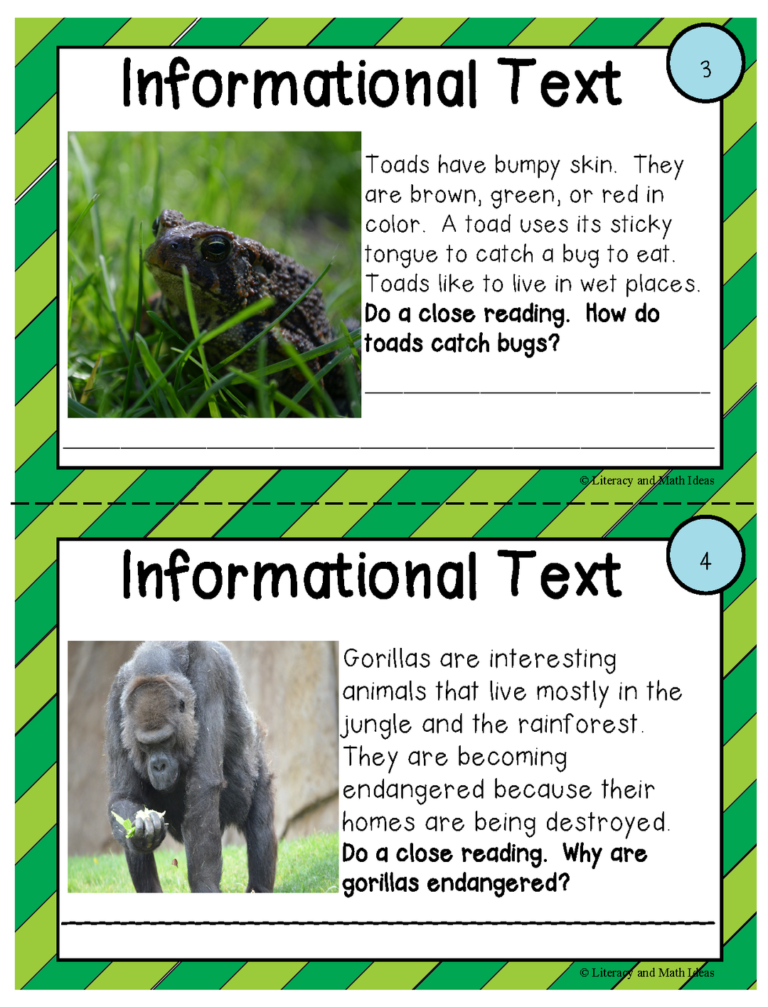 Differentiated Dry Erase Close Reading Task Cards Informational Text