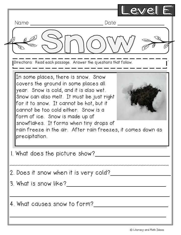 Guided Reading Nonfiction Passages Level E
