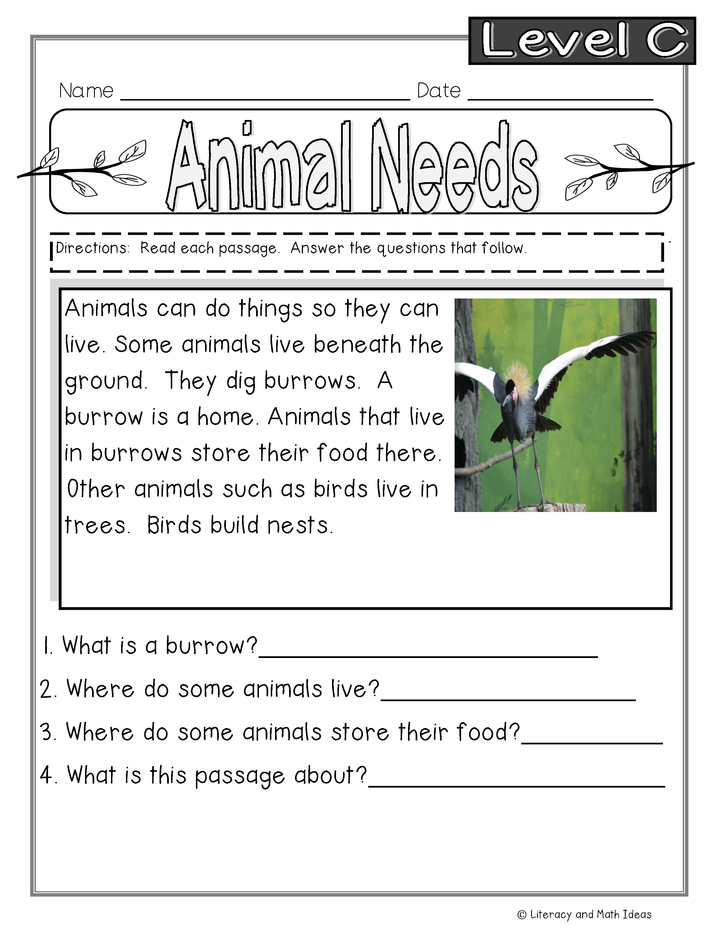 Guided Reading Nonfiction Passages Level C