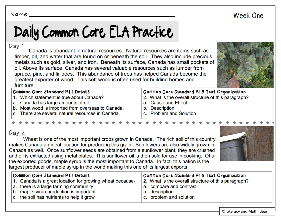 Grade 5 Daily Common Core Reading Practice Weeks 1-20
