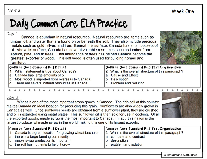 Grade 5 Daily Common Core Reading Practice Weeks 1-20