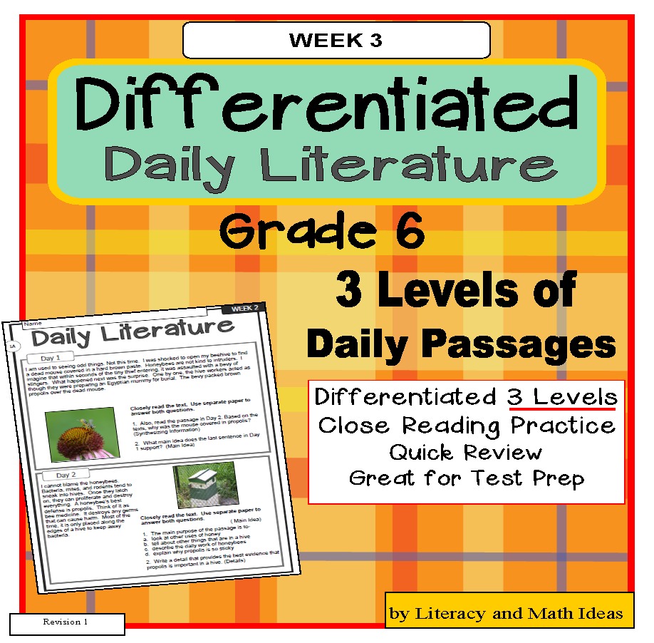 Differentiated Daily Literature Practice Grade 6 (Week 3) – Literacy ...