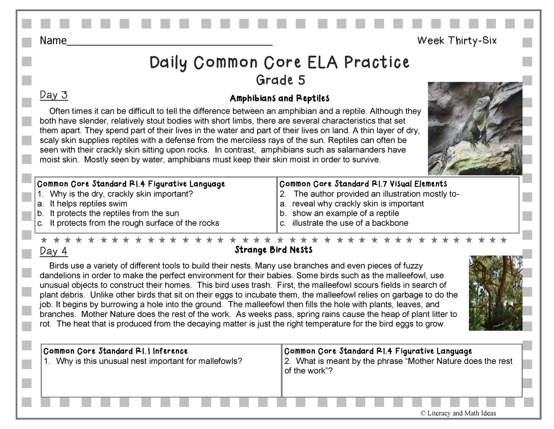 Grade 5 Daily Common Core Reading Practice Weeks 36-40