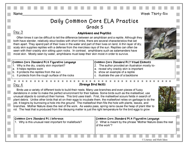 Grade 5 Daily Common Core Reading Practice Weeks 36-40