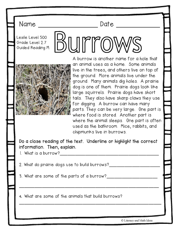 (Animals) Leveled Passages Guided Reading Levels L,M, N (Lexiles 450-560)
