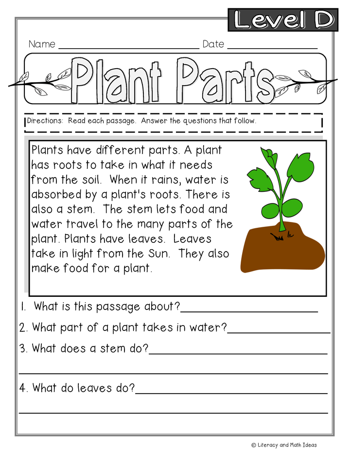 Guided Reading Nonfiction Passages Level D