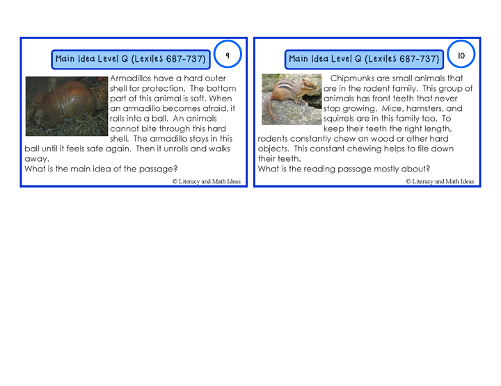 Main Idea Task Cards (Decodable and Leveled) Guided Reading (Levels Q and R)