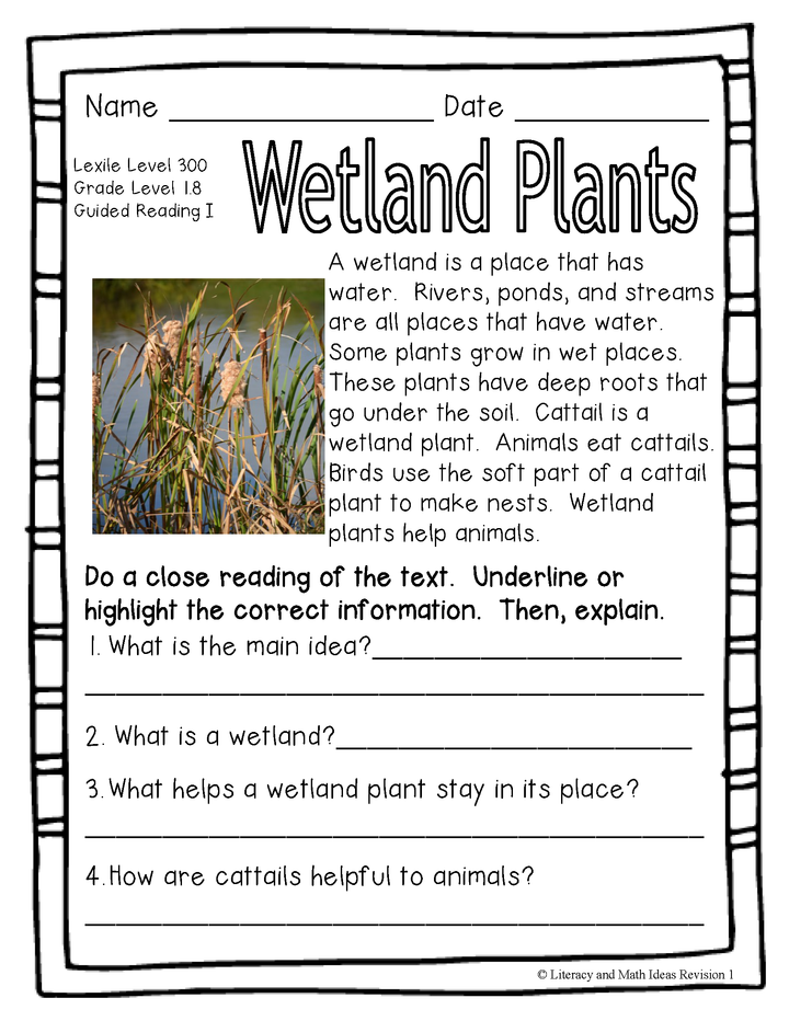 (Plants) Leveled Passages Guided Reading Levels I,J,K (Lexiles 290-440)