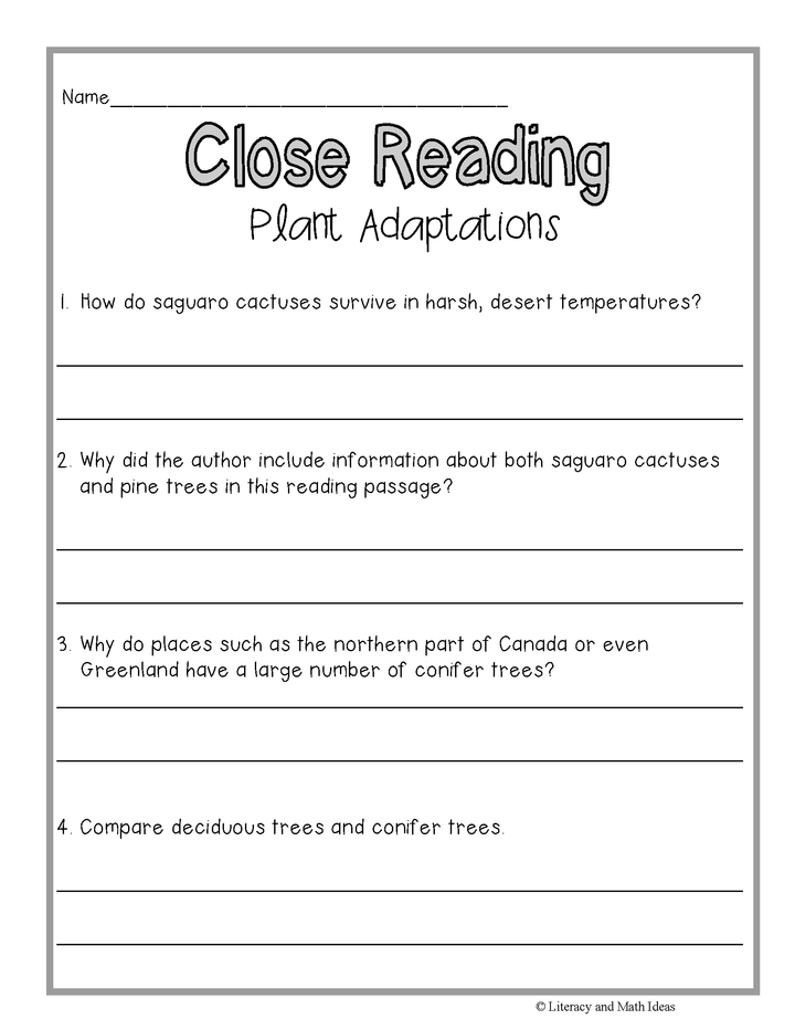 Autumn Close Reading Passages