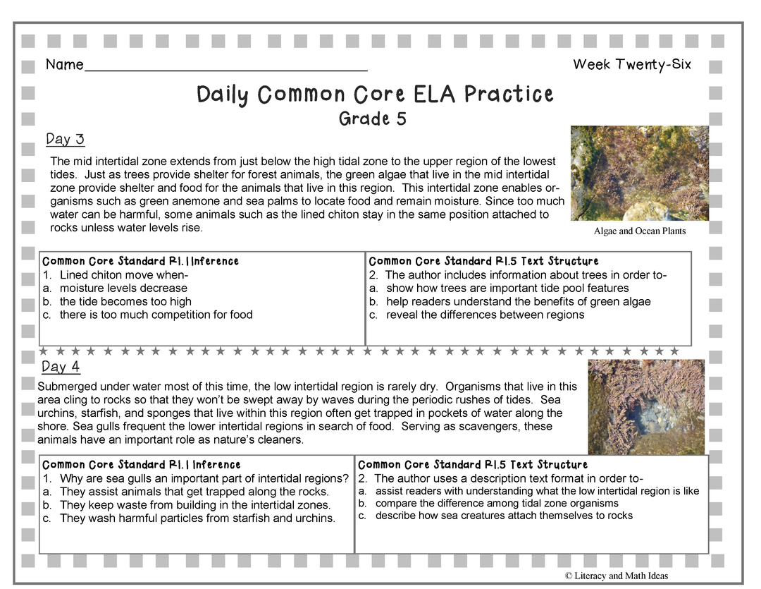 Grade 5 Daily Common Core Reading Practice Weeks 26-30