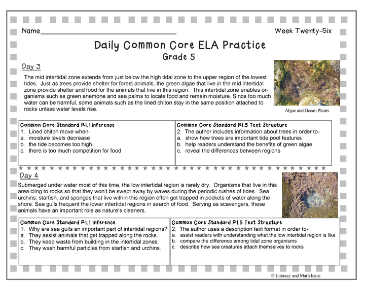 Grade 5 Daily Common Core Reading Practice Weeks 26-30