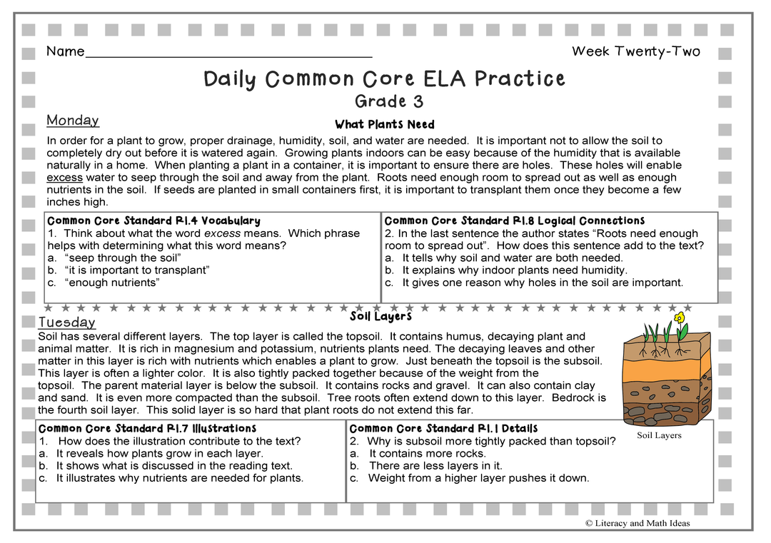Grade 3 Daily Common Core Reading Practice Weeks 21-25