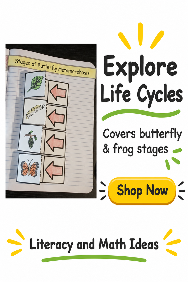Metamorphosis Interactive Notebook: Butterfly & Frog Life Cycles