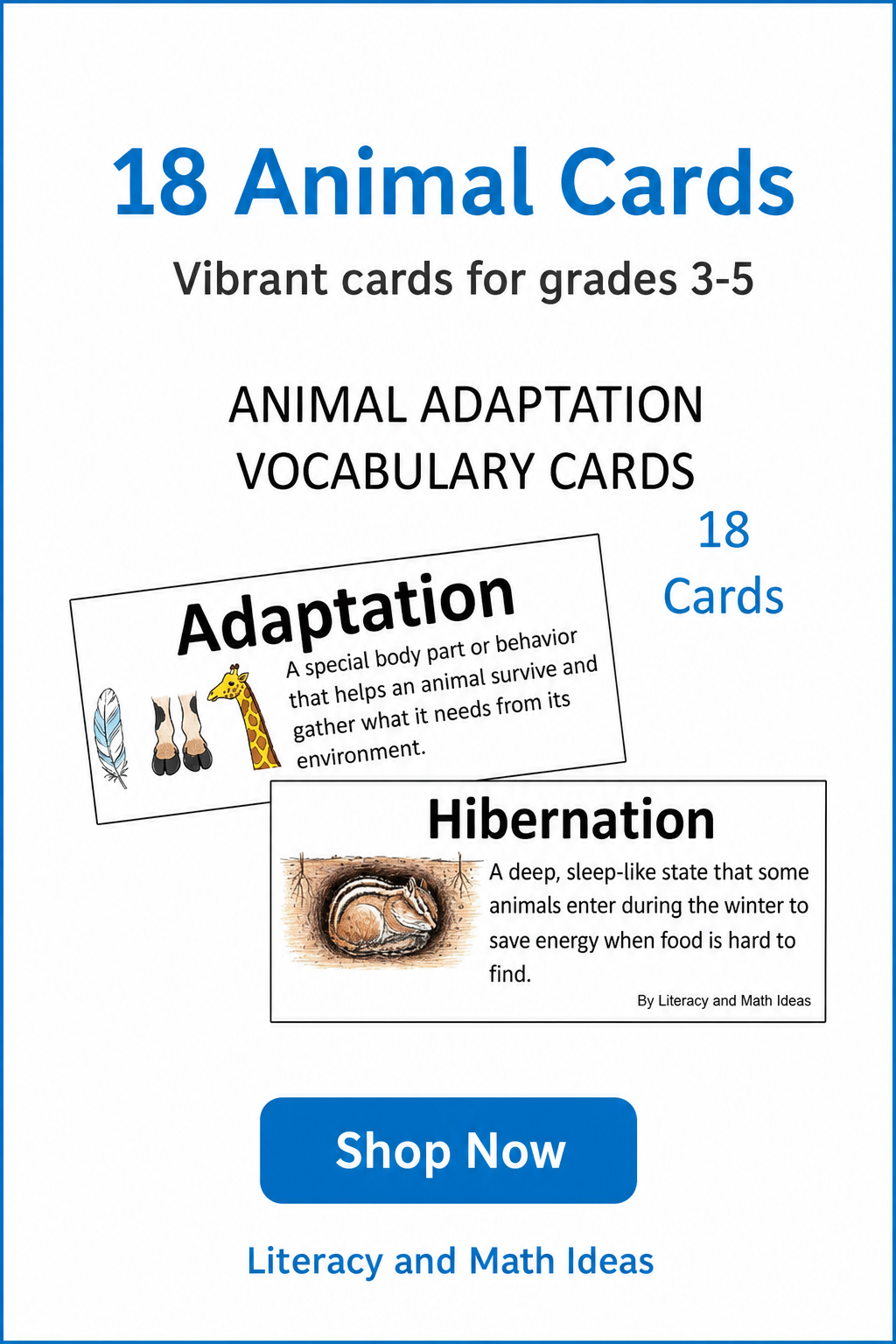 Animal and Plant Adaptations Vocabulary Cards & Bulletin Board Set
