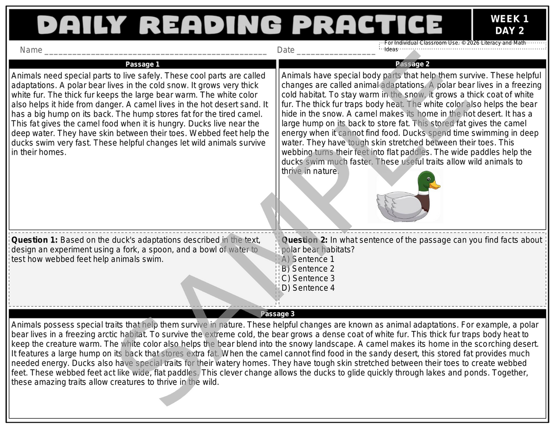 Differentiated Daily Reading Comprehension Passages - Grade 3 (Month 1)
