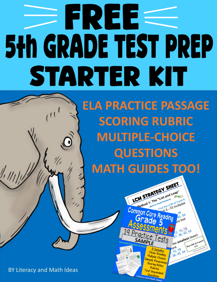 5th Grade ELA & Math Test Prep Starter Kit: Assessments & Strategy Guides