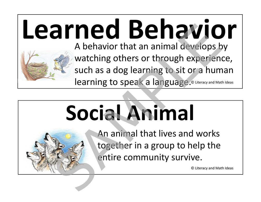 Animal Life Cycle & Adaptations Vocabulary Cards for Grades 3-5