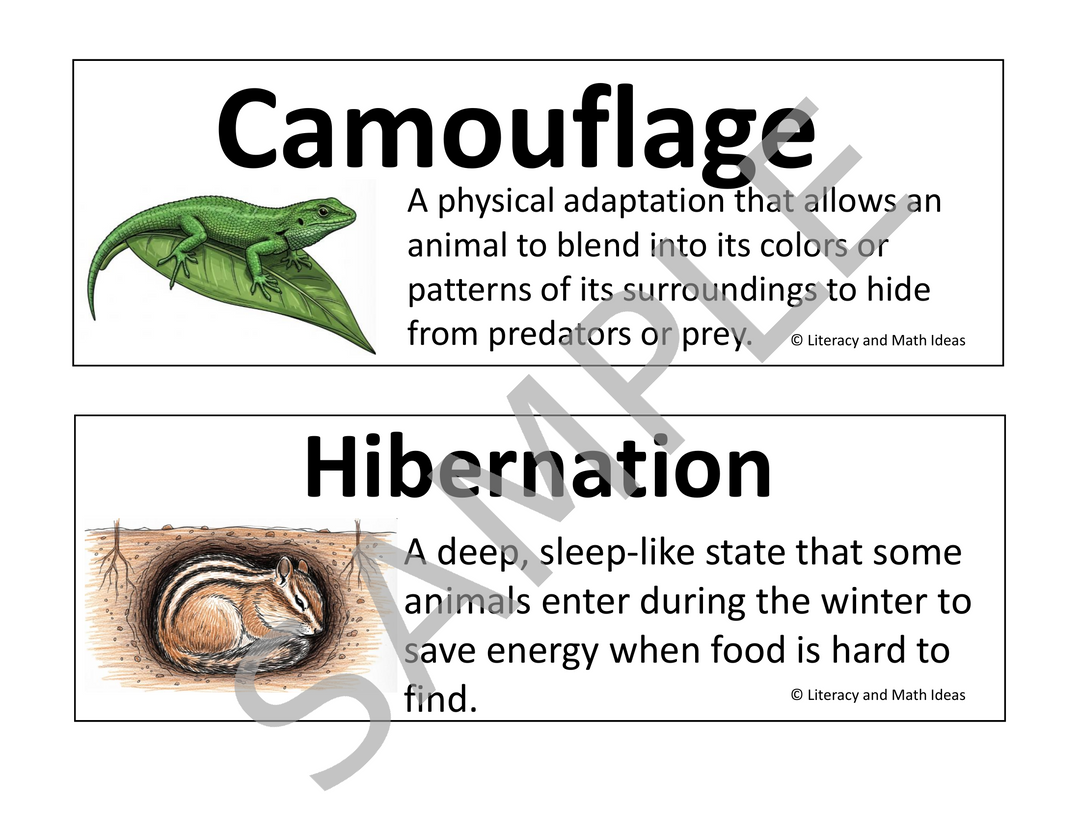 Animal and Plant Adaptations Vocabulary Cards & Bulletin Board Set