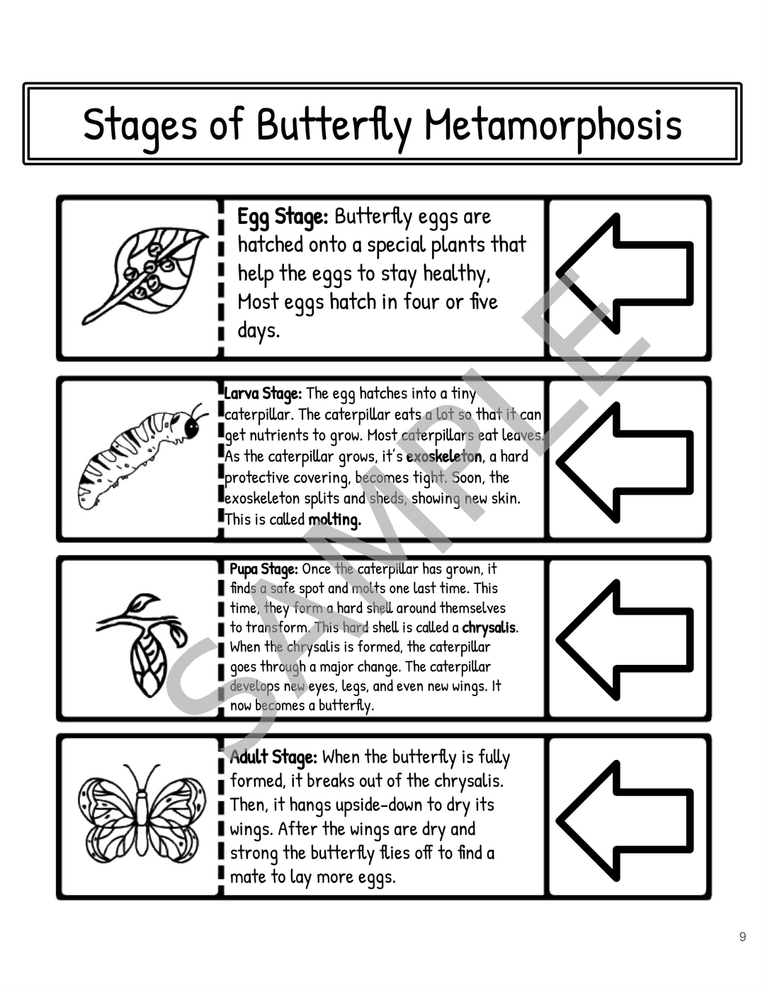 Metamorphosis Interactive Notebook: Butterfly & Frog Life Cycles
