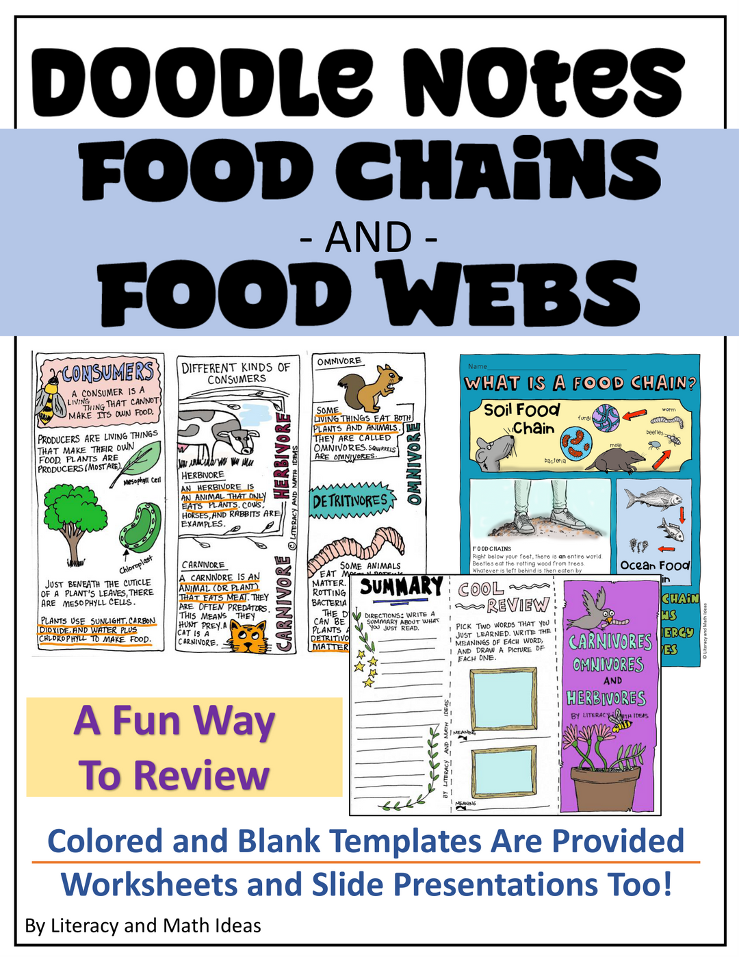 Food Chains and Food Webs Doodle Notes, Comprehension, and Slides