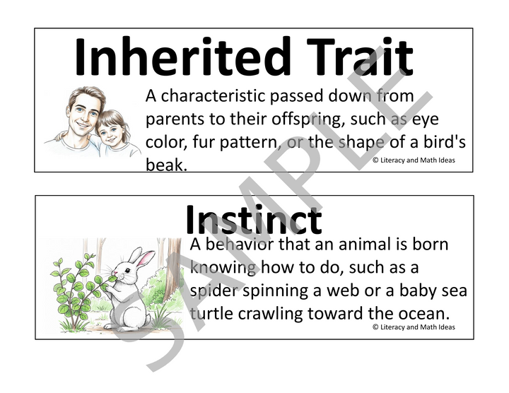 Animal Life Cycle & Adaptations Vocabulary Cards for Grades 3-5