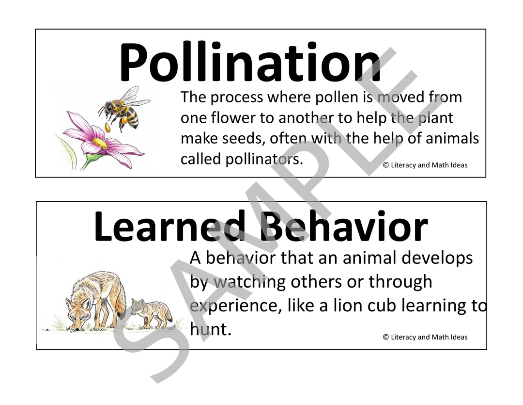 Animal and Plant Adaptations Vocabulary Cards & Bulletin Board Set