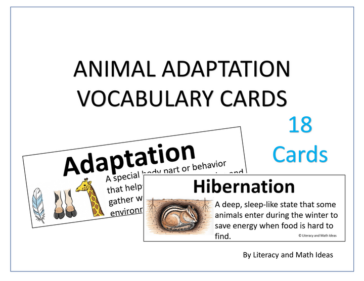 Animal and Plant Adaptations Vocabulary Cards & Bulletin Board Set