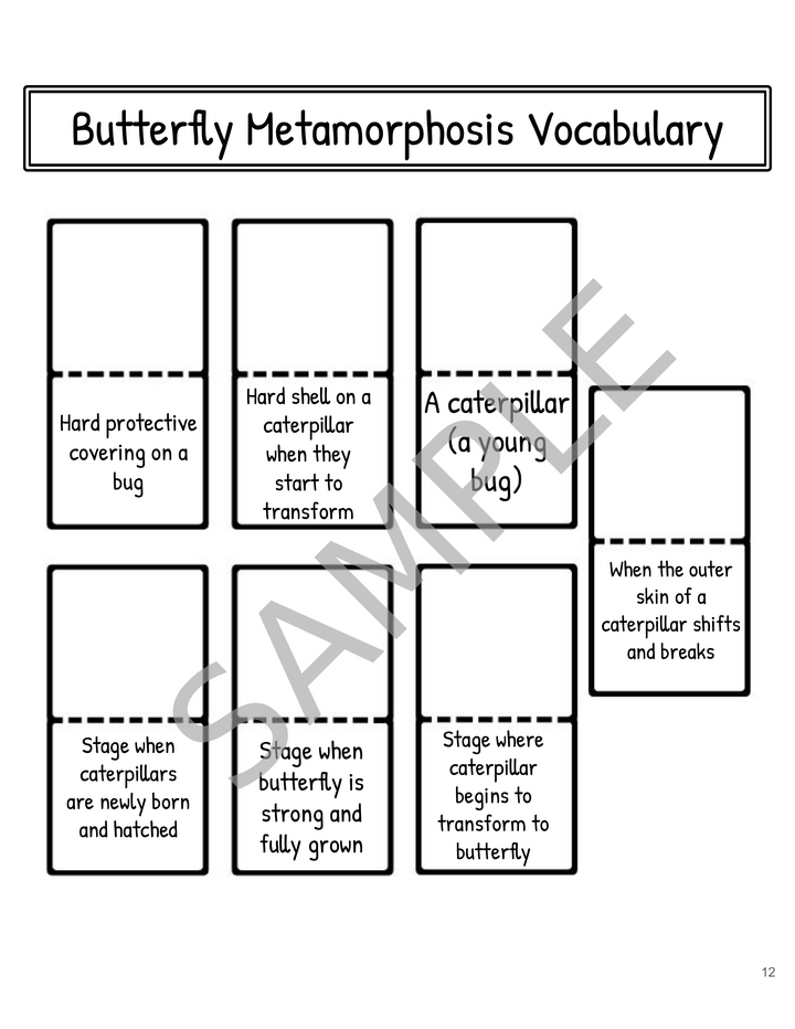 Metamorphosis Interactive Notebook: Butterfly & Frog Life Cycles
