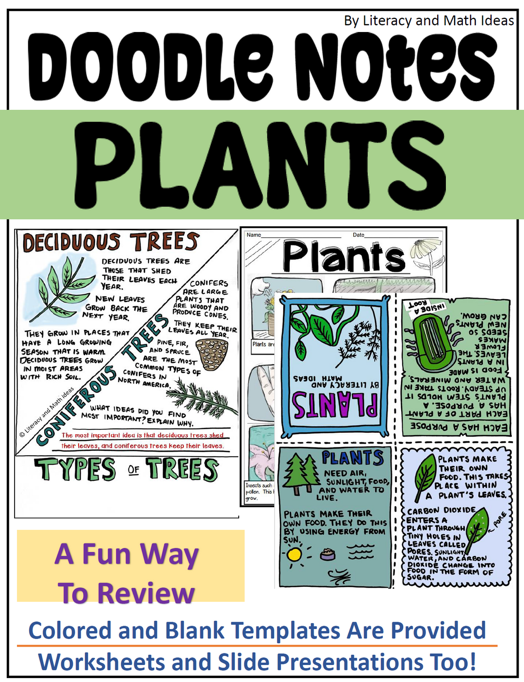 Doodle Notes Life Science Bundle