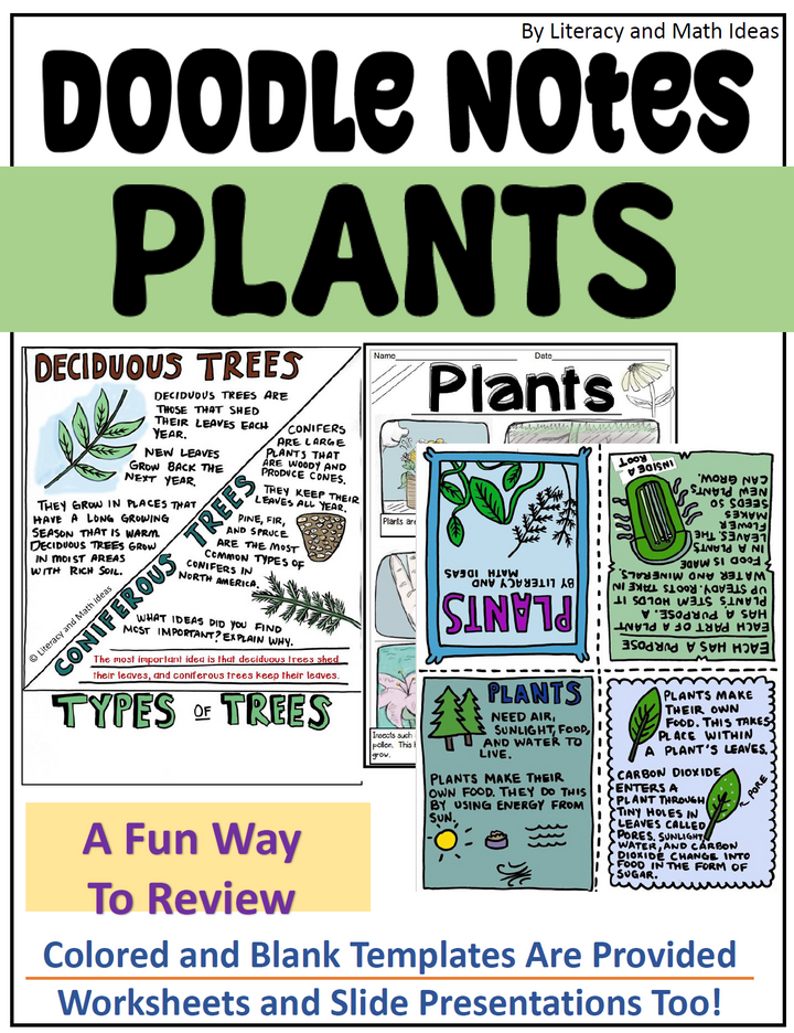 Doodle Notes Life Science Bundle