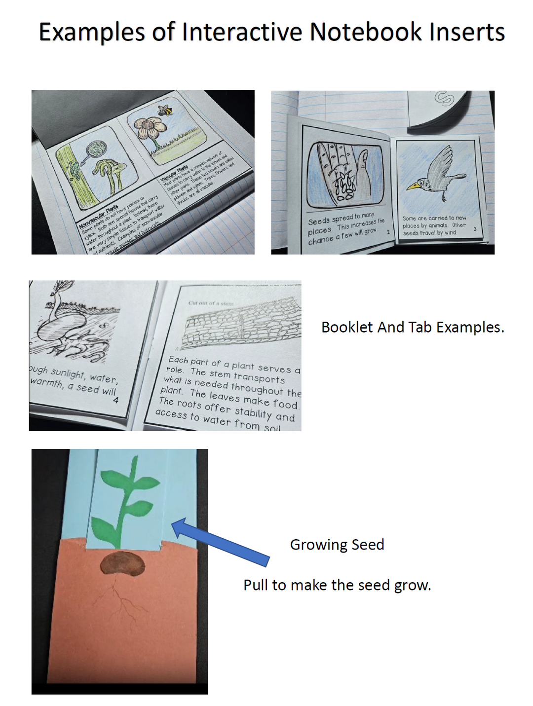 to plant a seed tab Doodle Notes Life Science Bundle – Literacy and Math Ideas